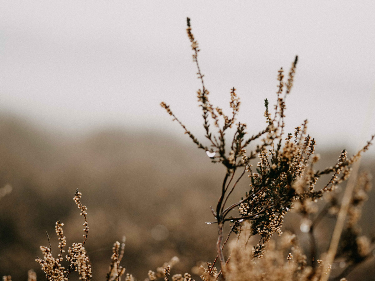 深圳平面設(shè)計(jì) 深圳平面設(shè)計(jì)