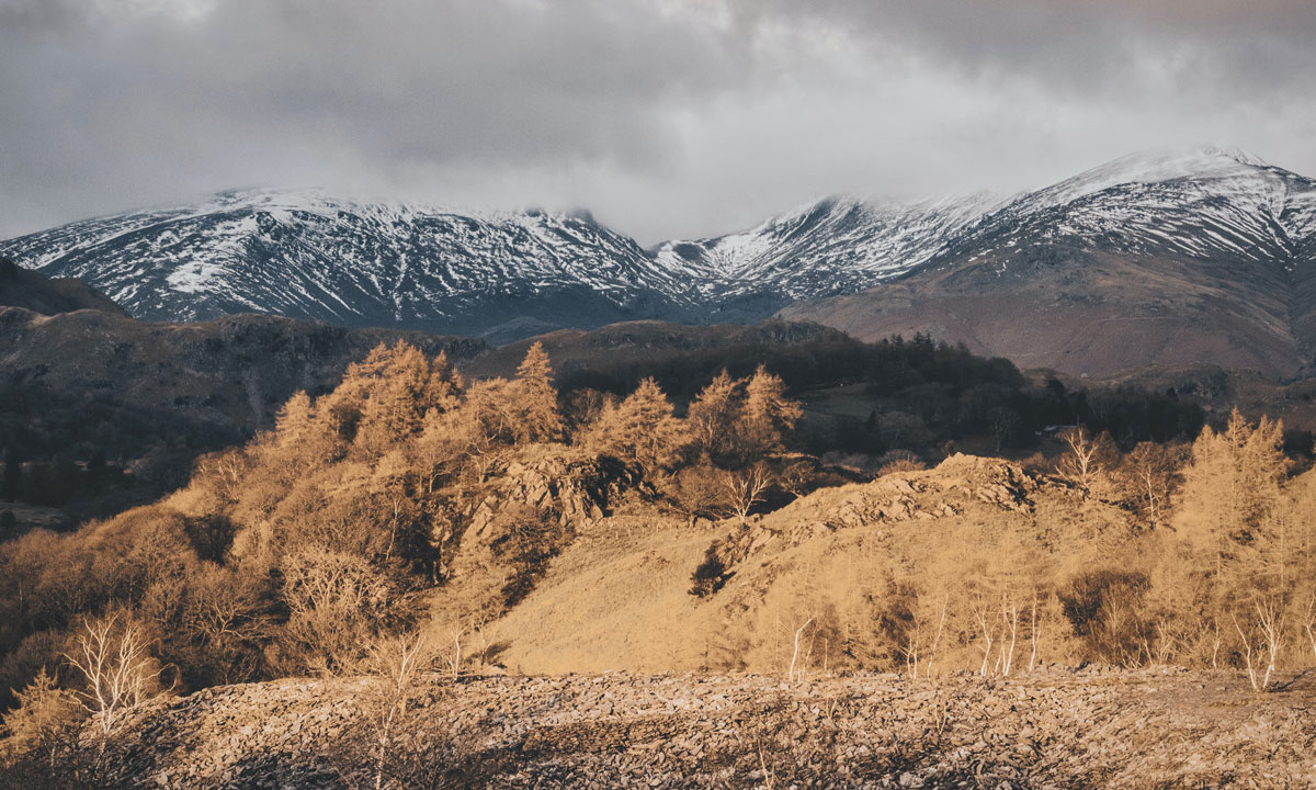 品牌策劃設計公司