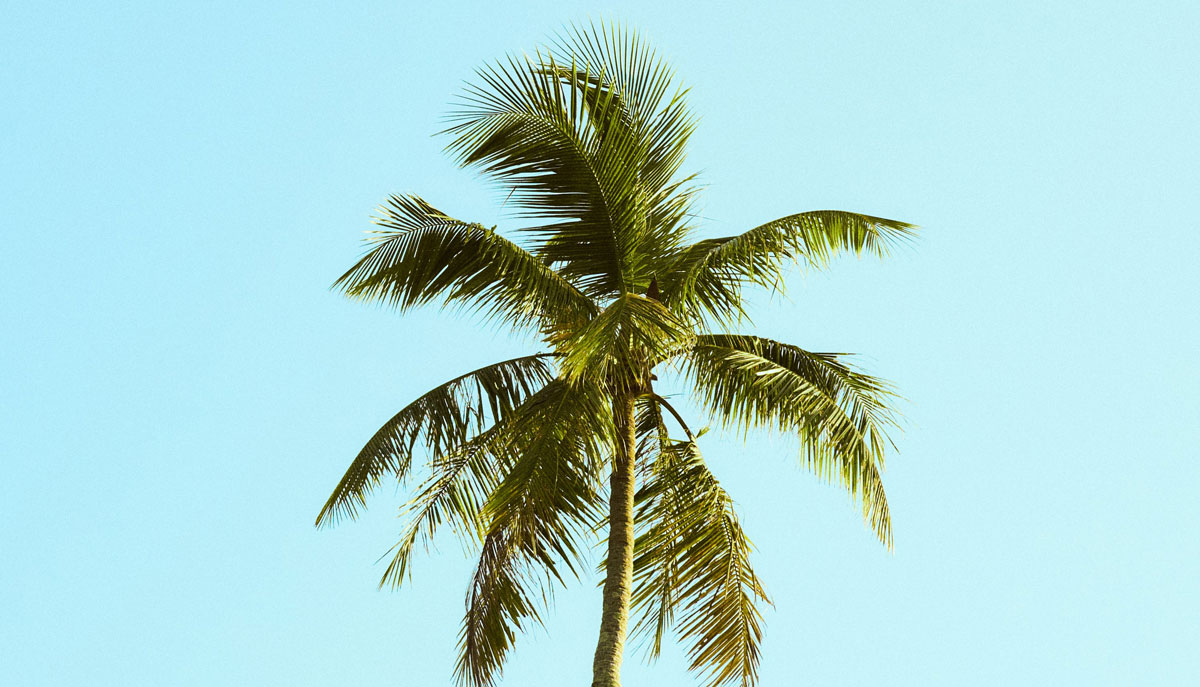 包裝設計公司 包裝設計公司