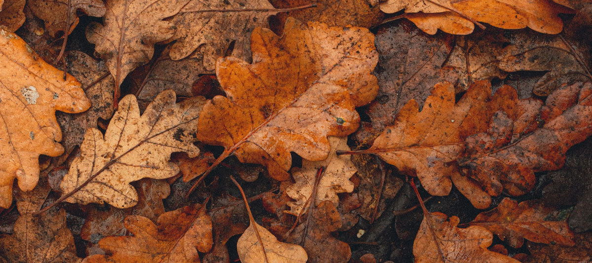 餐飲品牌形象設(shè)計(jì)公司