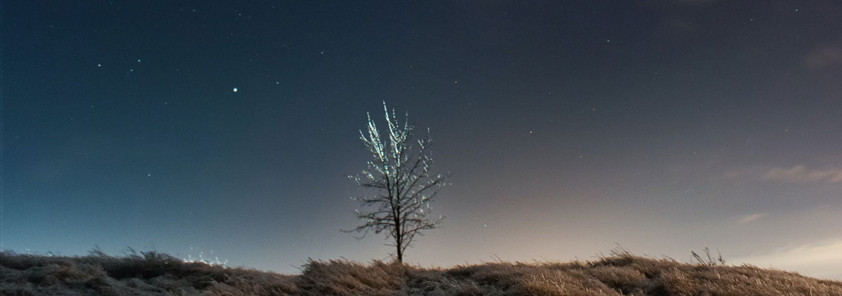 品牌設(shè)計(jì)公司