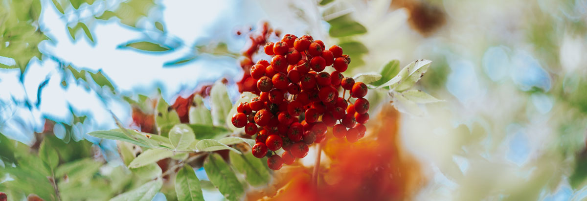 深圳包裝設(shè)計公司 深圳包裝設(shè)計公司