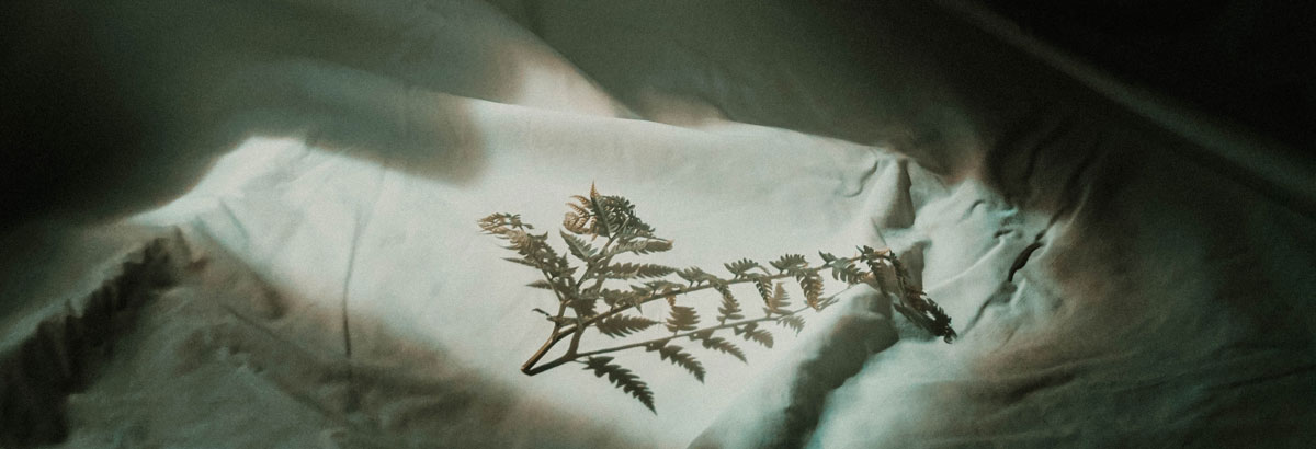 品牌設(shè)計(jì)公司