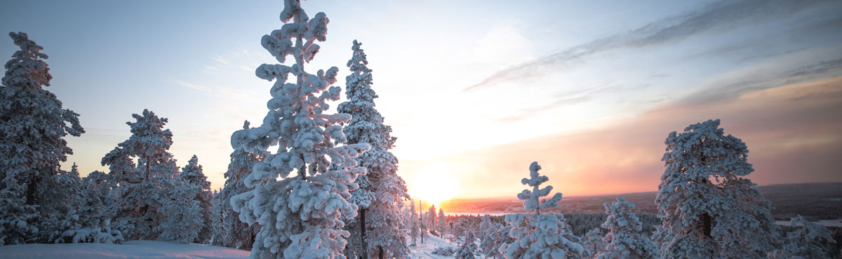 品牌全案設(shè)計公司