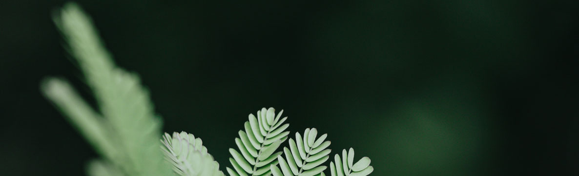 深圳平面設(shè)計公司