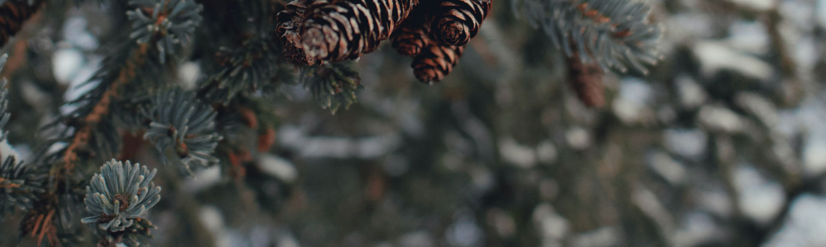 深圳平面設計公司