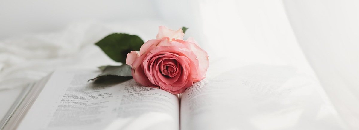 包裝設(shè)計(jì)公司