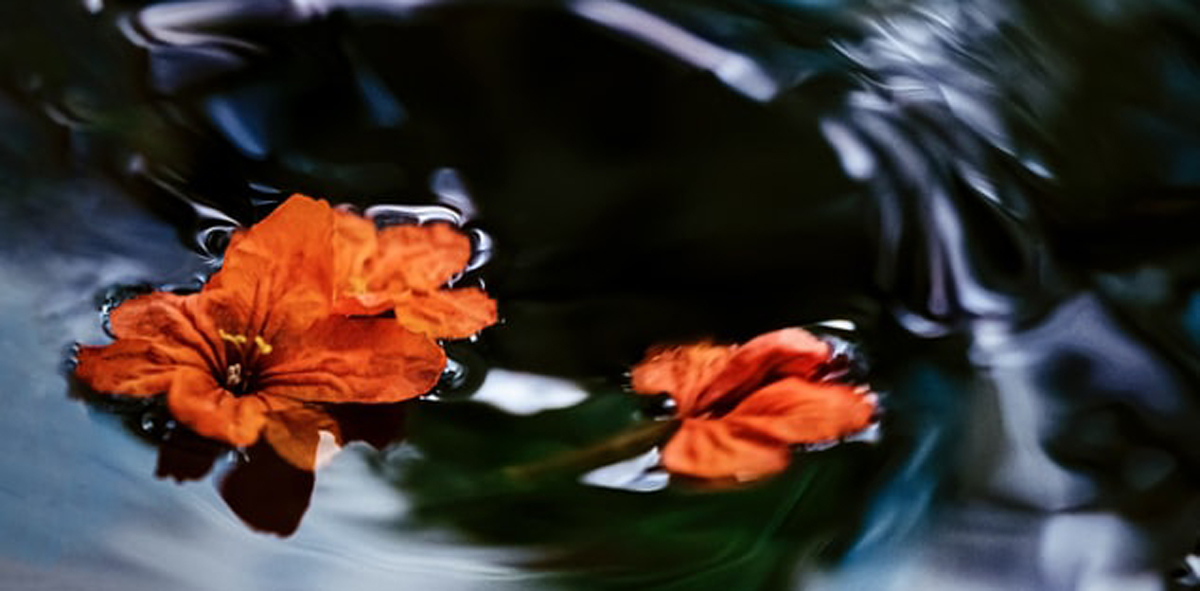 深圳包裝設(shè)計 深圳包裝設(shè)計