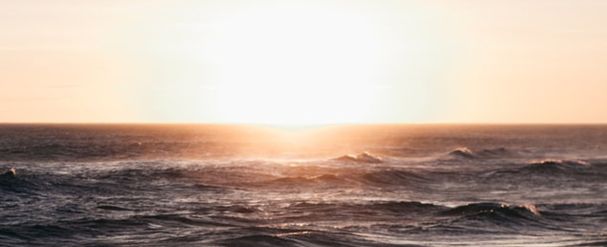 品牌策略全案設(shè)計(jì)