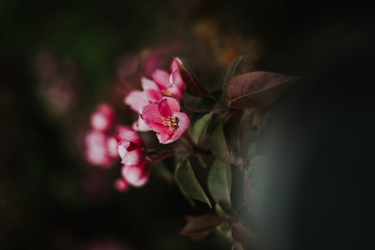 深圳平面設(shè)計公司